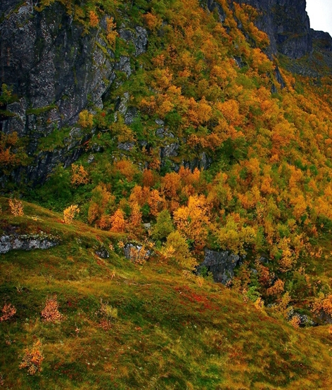 粉象实名认证怎么取消
