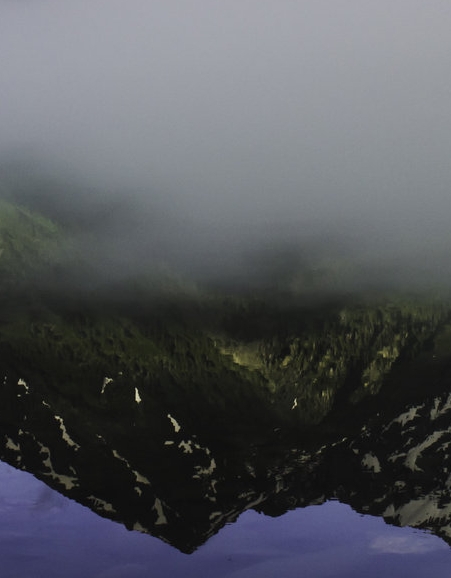 粉象生活引流课程