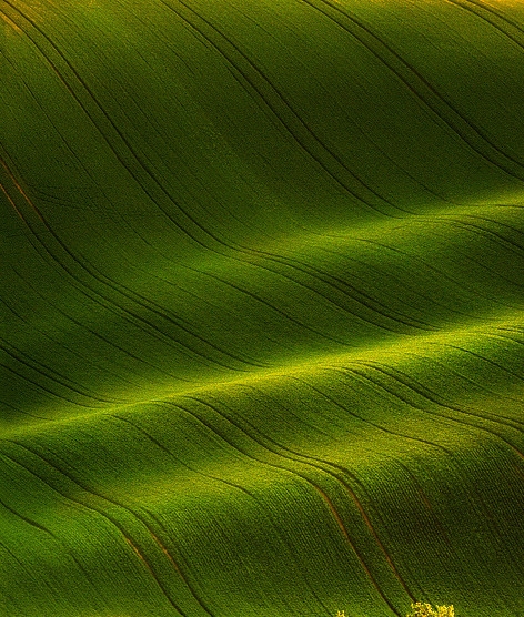 粉象生活app