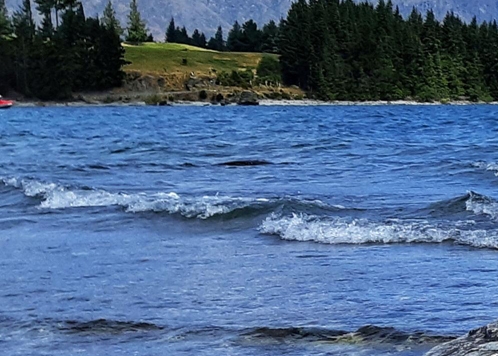 粉象生活怎么赚钱