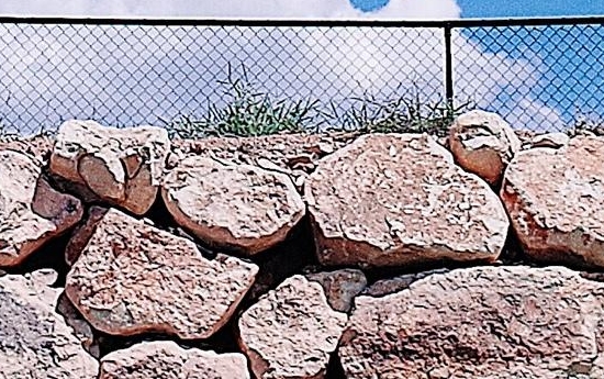 粉象世界app下载安装