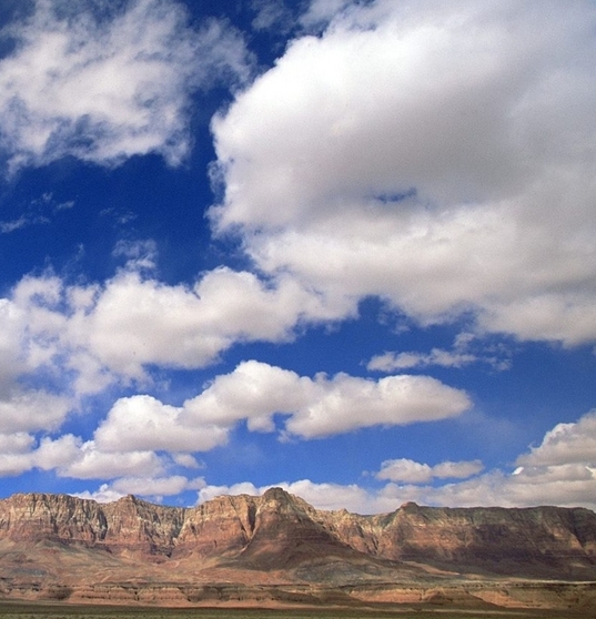 粉象生活邀请码
