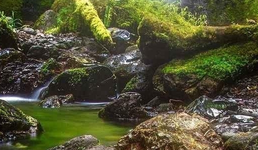 粉象生活家居