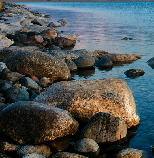 粉象生活怎么看佣金明细