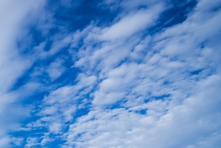 粉象生活里怎么上传商品