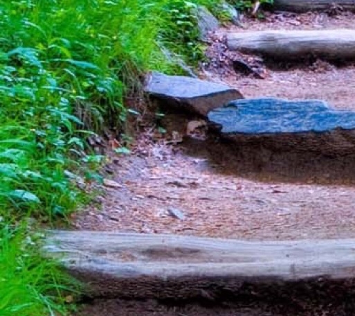 粉象生活不是vip可以得佣金吗