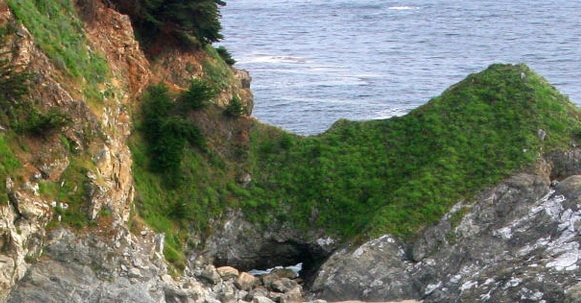 粉象生活平台怎么样