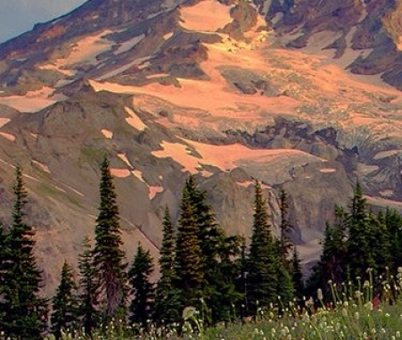 粉象生活模式合法吗