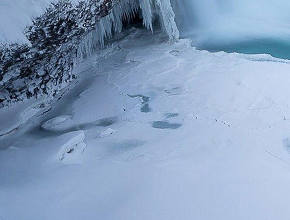 粉象生活返利活动