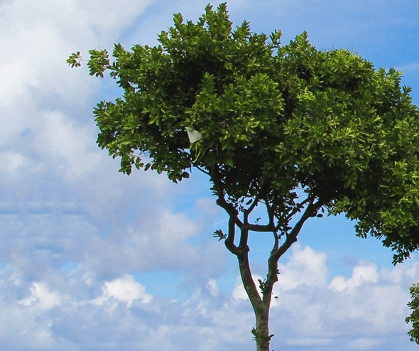 有人做粉象生活赚钱了吗