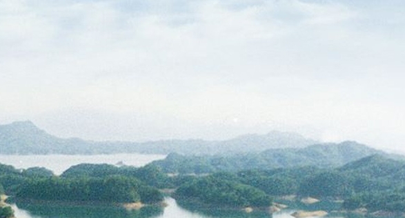 粉象生活是干什么的?怎么赚钱