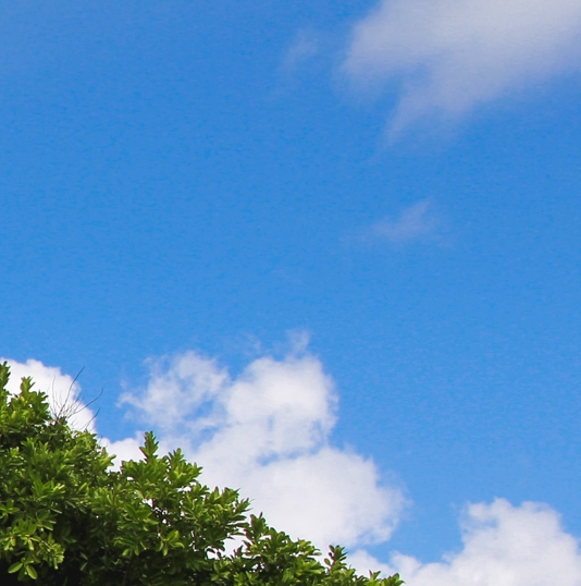 粉象生活发圈了有佣金嘛