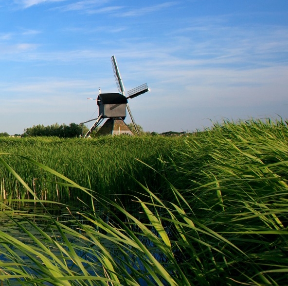 粉象生活赚钱需要交税吗