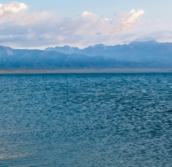 广东粉象生活电话