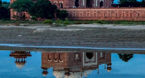 粉象生活新手怎么做