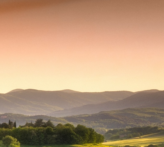 酒吧粉象多少钱一瓶