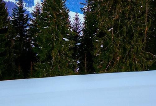 深圳粉象生活能拿几代佣金