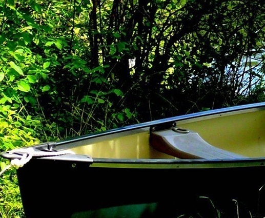 粉象生活违法吗