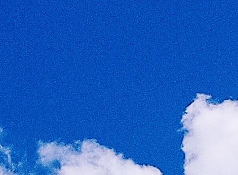 粉象生活怎么看消费者收入