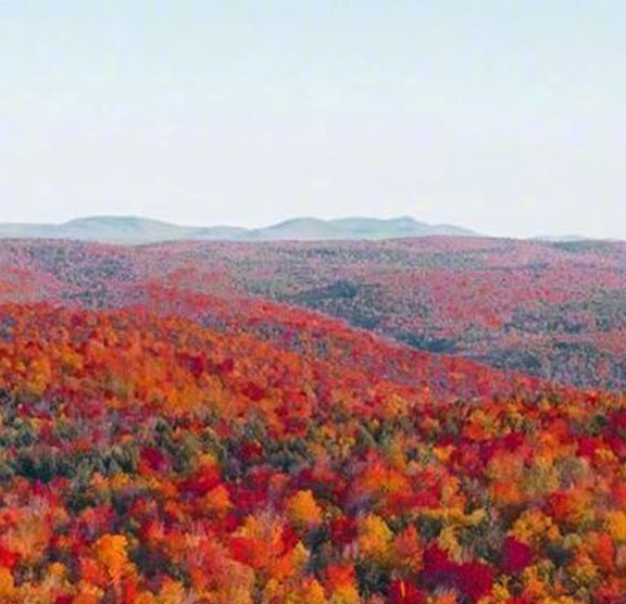 粉象生活宝妈如何挣钱