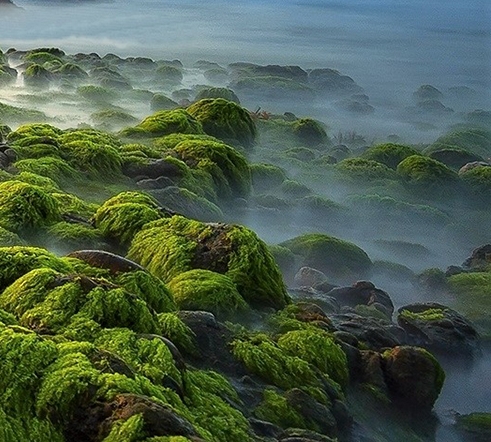 粉象生活拉一个人赚多少钱