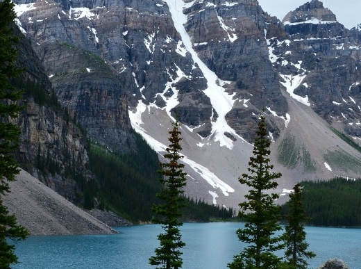 粉象生活四个什么字