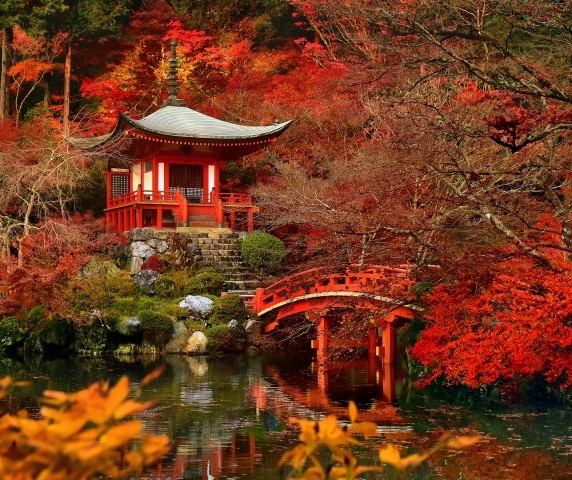 洛川粉象纯k打架事件