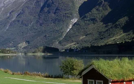 怎么在粉象生活下单购买