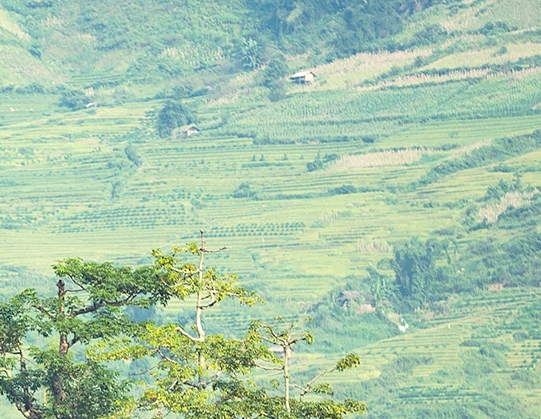 粉象生活自用app