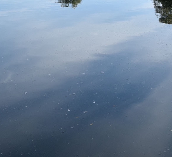 粉象生活软件好吗