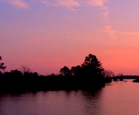 粉象升级399是骗局吗