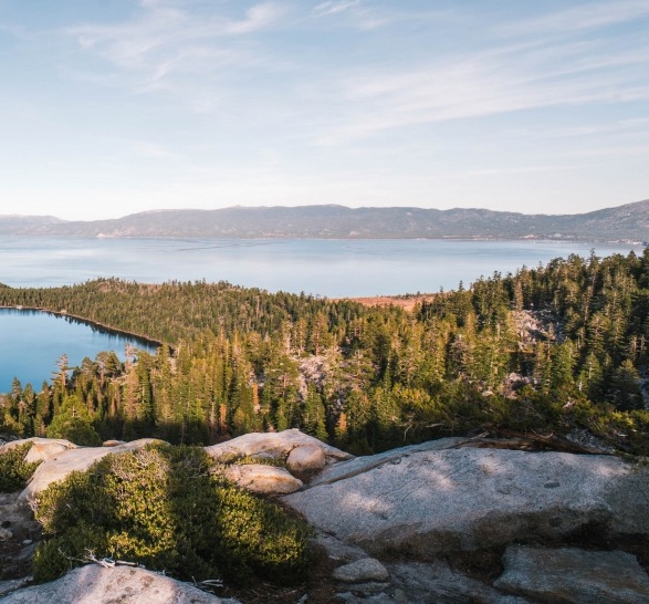 返利网和粉象生活哪个好