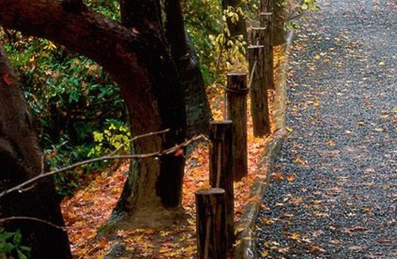注重生活品质的人是什么样的