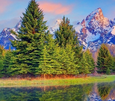 粉象生活升级后大概几天才看到收入