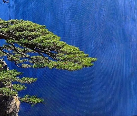 粉象生活天天乐团组队群