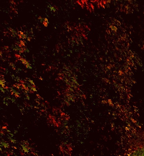 今日头条赚钱是真是假?