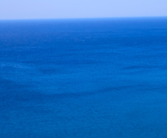 粉象生活里怎么查看邀请码