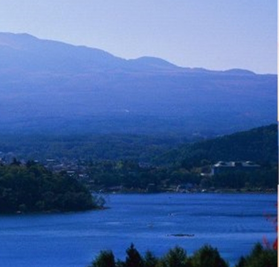 在粉象生活买东西为什么便宜