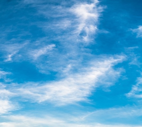 粉象生活正规吗