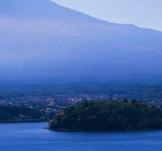 粉象生活怎么用淘宝