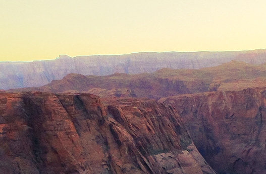 新手粉象生活怎么赚钱