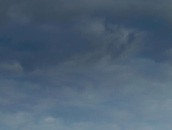 粉象生活邀请id351395