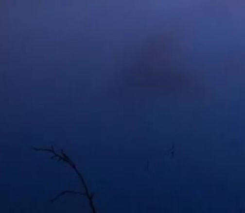 粉象生活不交钱能用吗