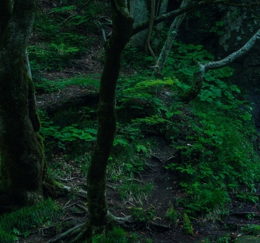 粉象生活官方免费模式