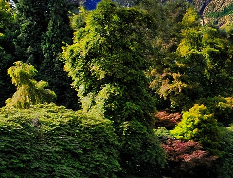 如何走进一个女生的生活