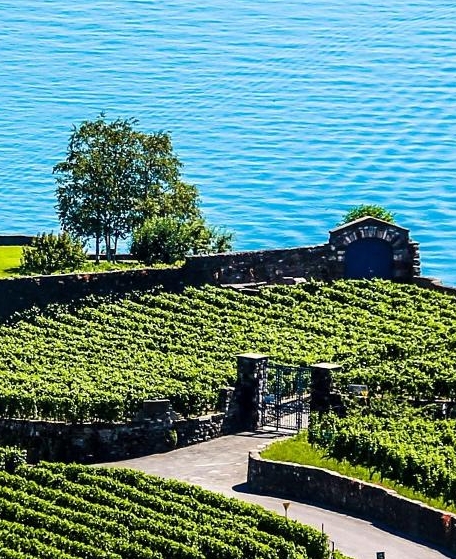 粉象生活能赚钱吗