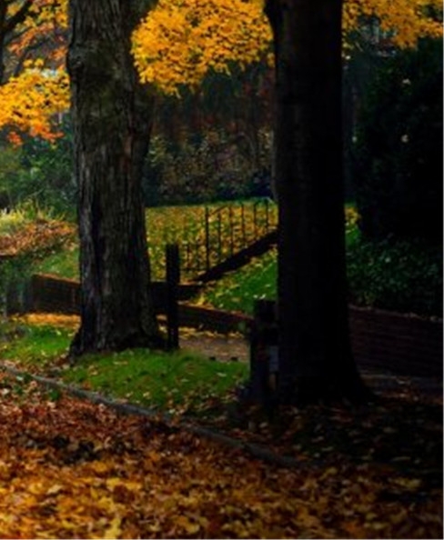 粉象生活是真的假的