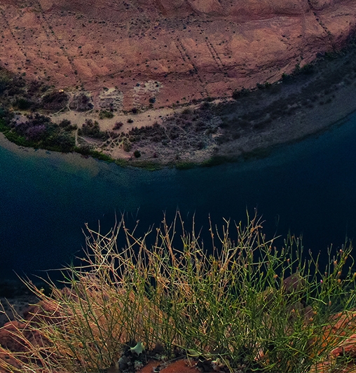 粉象生活注册有多少邀请码