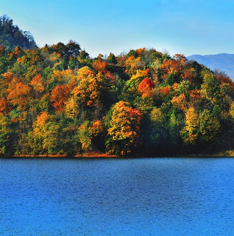 粉象邀请id怎么填写