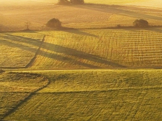 粉象生活最简单的邀请码
